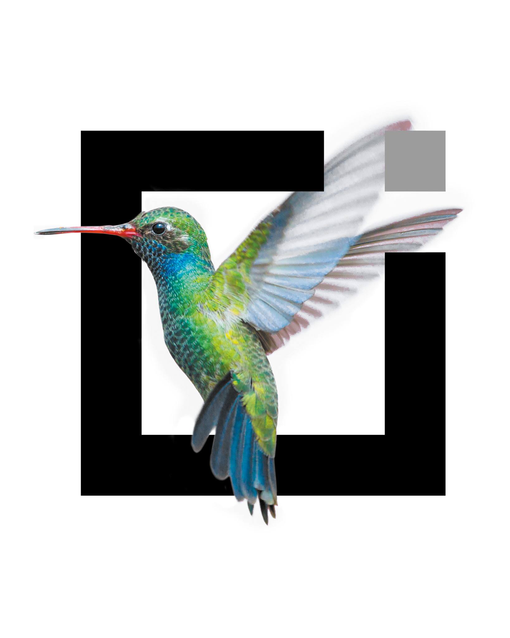 Ruimte voor nieuw talent! Bij RoosRos zijn we op zoek naar een:
✨ junior architect (Oud-Beijerland)
✨ junior BIM-modelleur (Oud-Beijerland)
✨ ervaren BIM-modelleur (Oud-Beijerland en Goes)
Ben jij nieuwsgierig, lichtvoetig en werk je met focus, net als de kolibrie?
Dan zijn we reuze benieuwd naar jou en jouw talenten. Solliciteer via de link in onze bio.
#RoosRosArchitecten #RoosRos #gezond #toekomstgericht #vacature