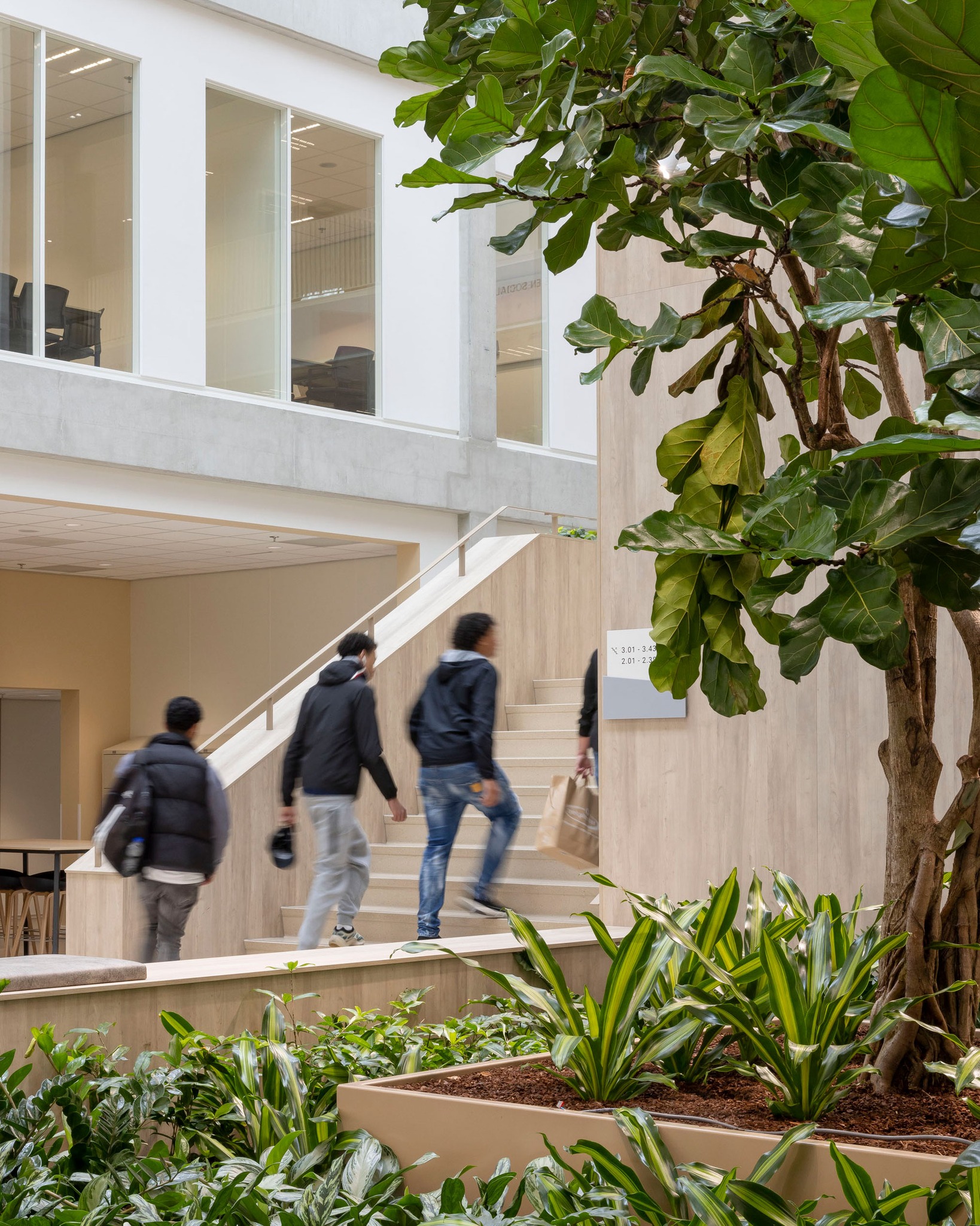 ROC MONDRIAAN
#RoosRosArchitecten #RoosRos #ROCMondriaan #DenHaag #studenten #gezond #toekomstgericht