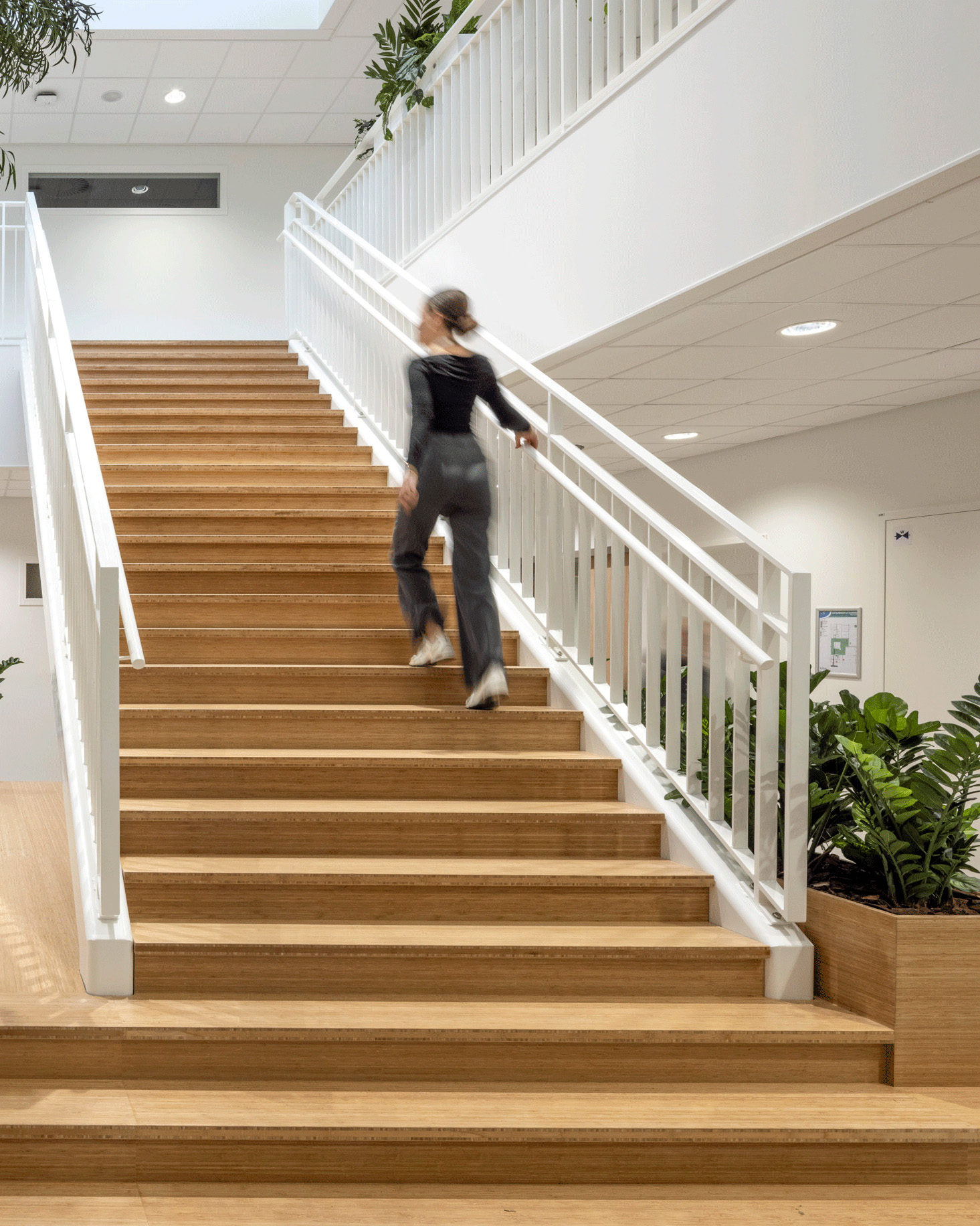 VSO Drechtster College Dordrecht

Het vernieuwde VSO Drechtster College in Dordrecht is eind oktober officieel geopend. De school biedt een eigentijdse en uitnodigende leeromgeving voor jongeren in het voortgezet speciaal onderwijs. 

📷: @lucasvanderwee 

#RoosRosArchitecten #RoosRos #gezond #toekomstgericht #drechtstercollege #dordrecht #vso