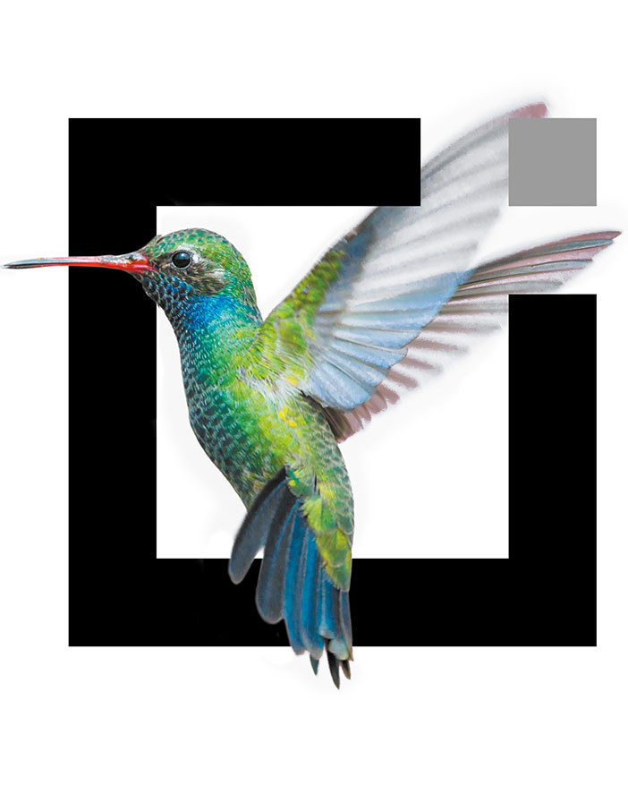 Werken bij RoosRos

Ben jij op zoek naar een nieuwe uitdaging? Of misschien naar een leuke stageplek? Bekijk onze vacatures op de website en ontdek de mogelijkheden bij RoosRos.

Wie weet tot ziens! 

#RoosRosArchitecten #RoosRos #gezond #toekomstgericht #betekenisvol